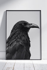 A black crow with a white background | Ai Artworks Poster Wall Art