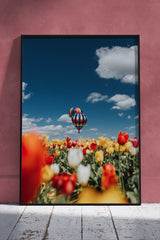Air Balloon over Tulip flower | Scenery Poster Wall Art