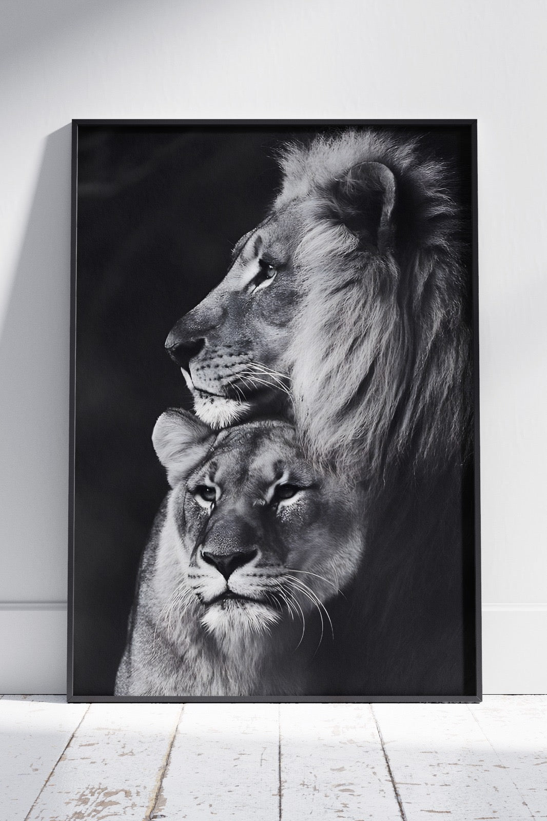 Black And White Lion Couple | Animal Poster Wall Art