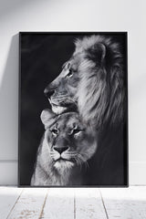 Black And White Lion Couple | Animal Poster Wall Art