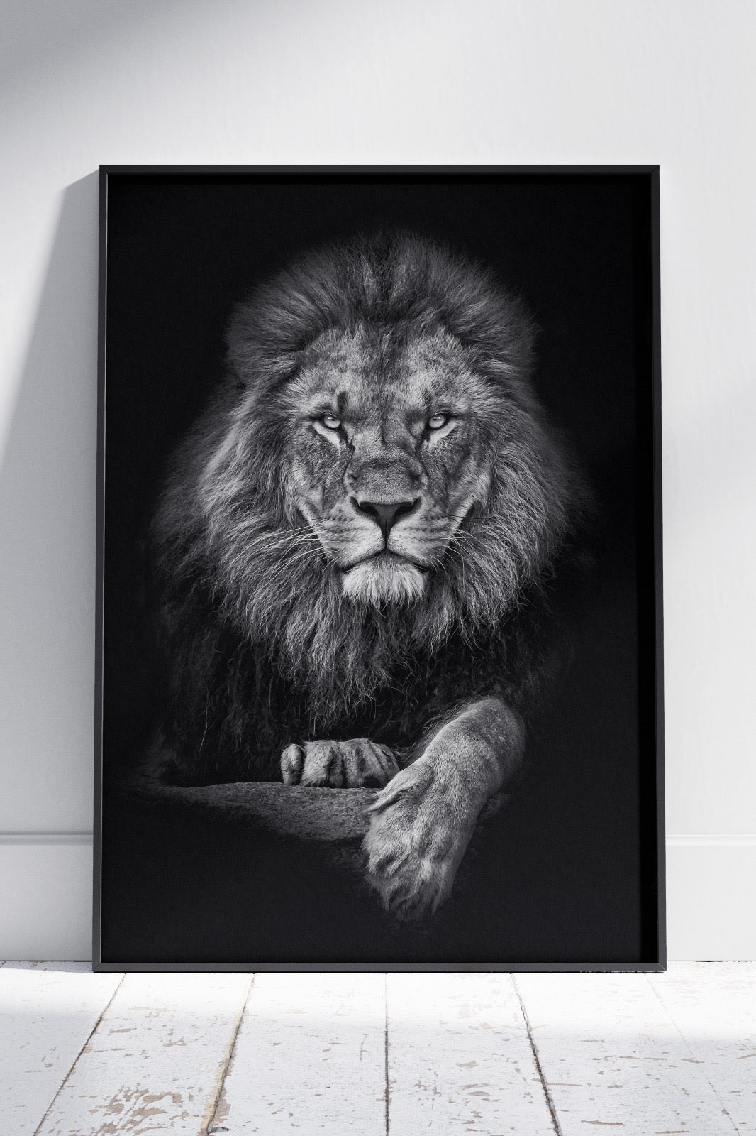 Black and White Lion Poster | Animal Poster Wall Art