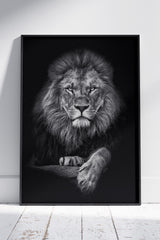 Black and White Lion Poster | Animal Poster Wall Art