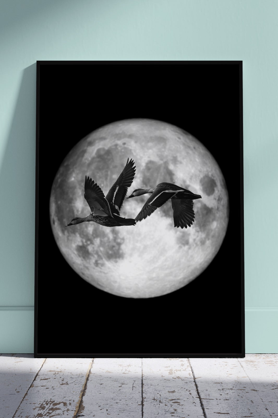 Illustration Depicting Night Birds | Poster Wall Art