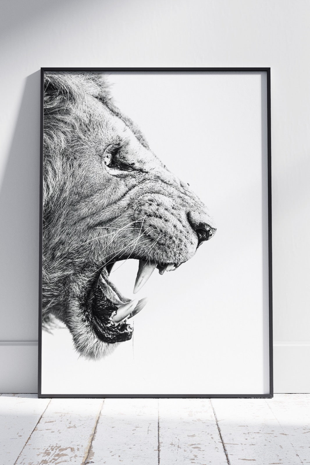 Lion Roaring Poster White Background | Animal Poster Wall Art