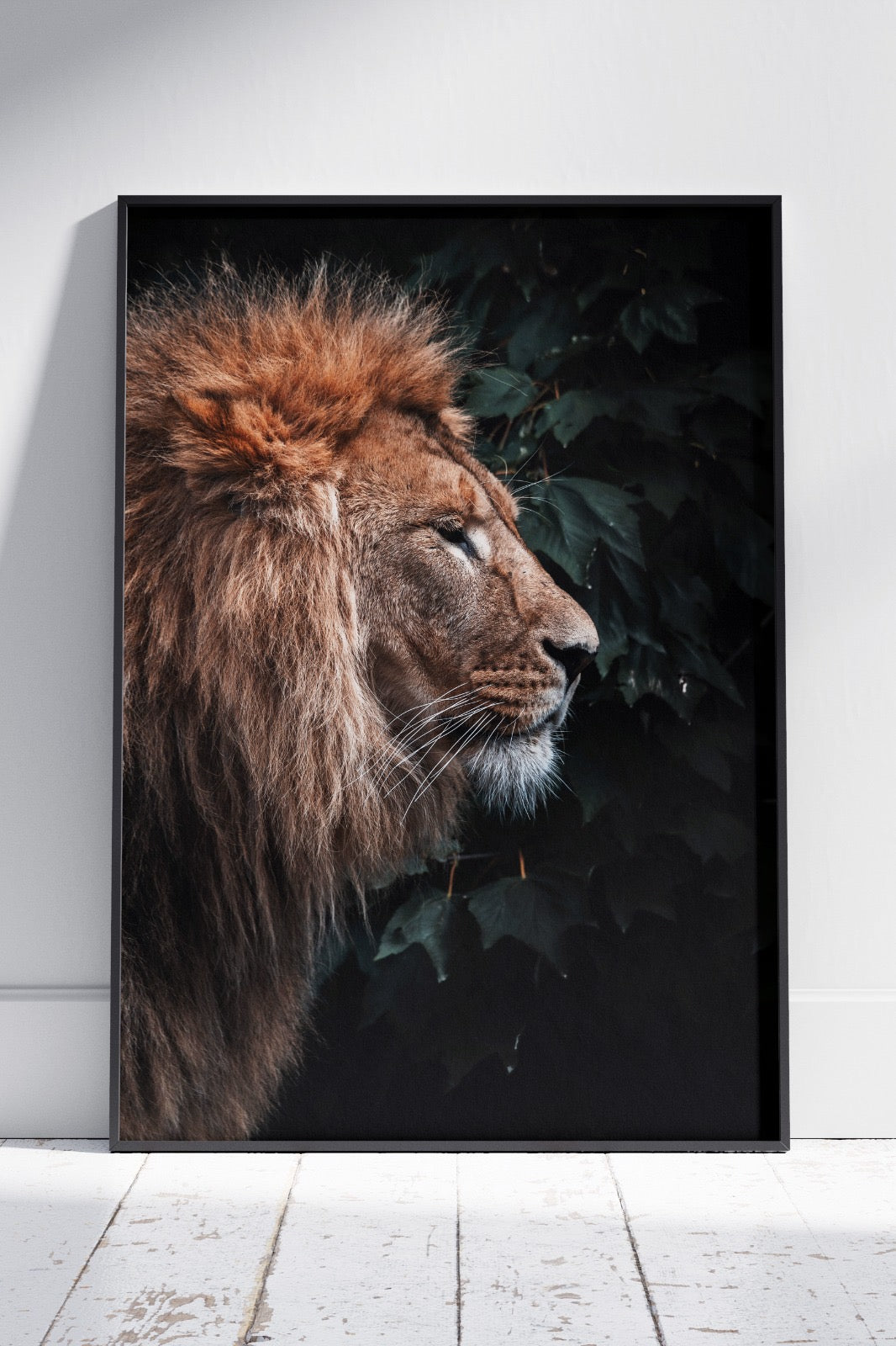 Lion Wildness Freedom Animal | Animal Poster Wall Art