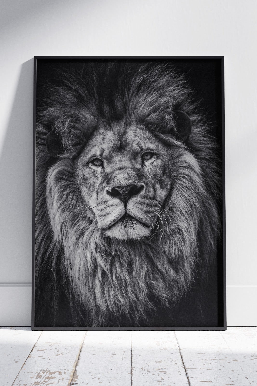 Majestic Black & White Color Lion Poster | Animal Poster Wall Art