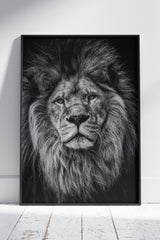 Majestic Black & White Color Lion Poster | Animal Poster Wall Art