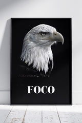 Quadro Aguia, Foco Eagle | Animal Poster Wall Art