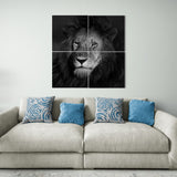 Black & White Lion (4 Panel-II) Square Wall Art