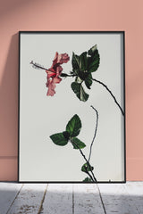 A pink flower with green leaves | Poster Wall Art