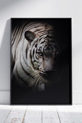 Monochromatic Tiger In Black And White | Animal Poster Wall Art