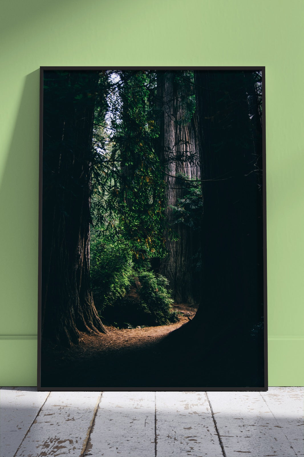 Lost in the Forest | Poster Wall Art